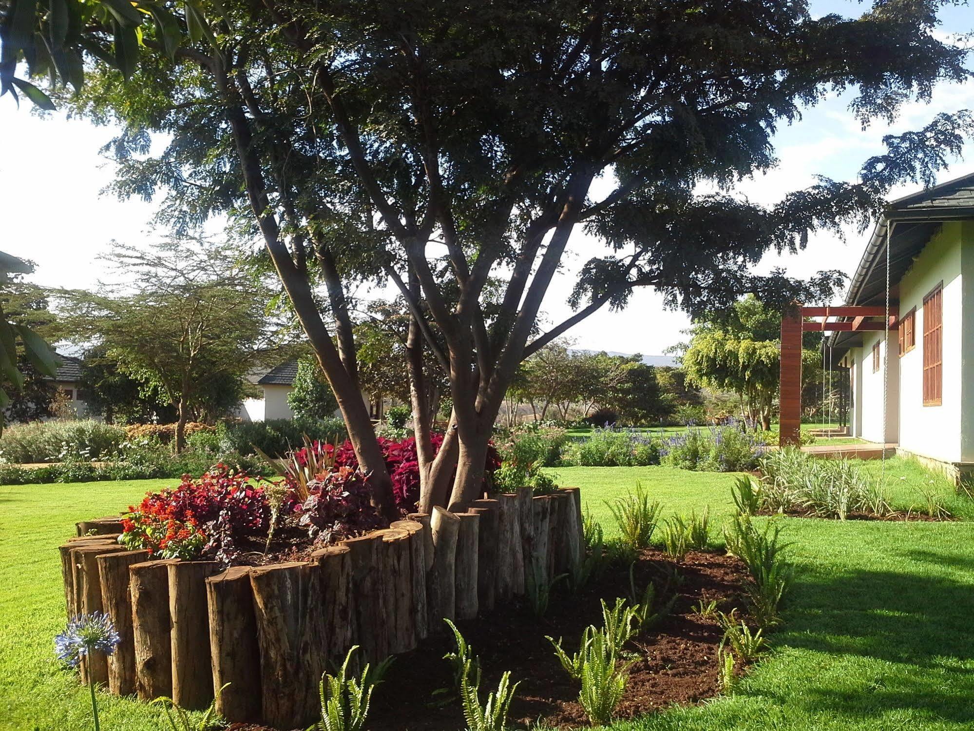 Acacia Farm Lodge Ngorongoro Kültér fotó