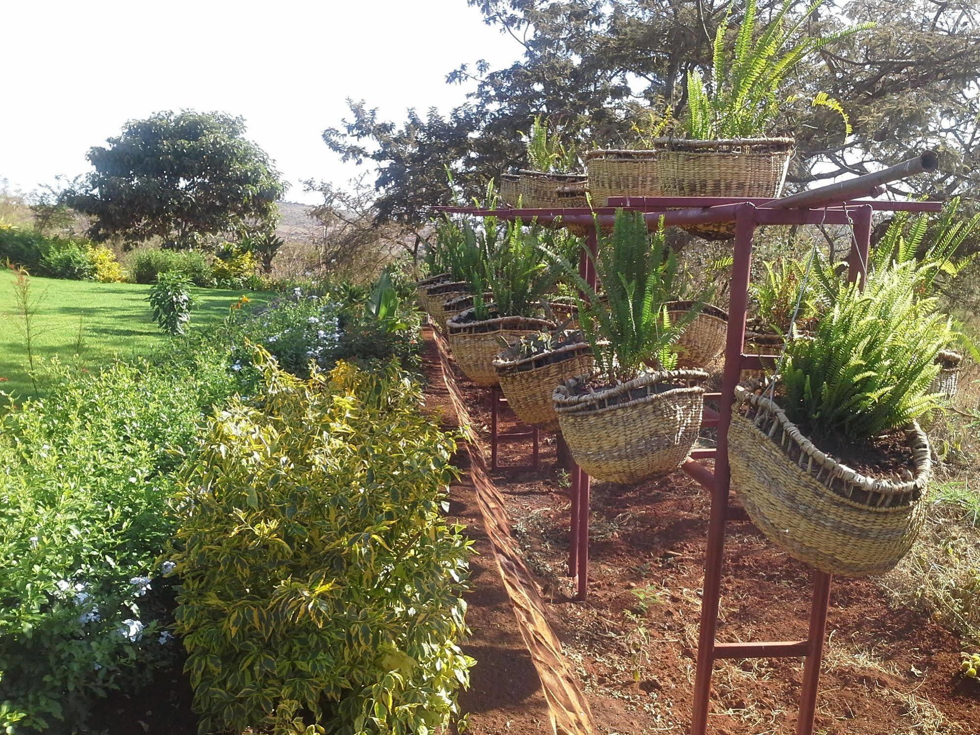 Acacia Farm Lodge Ngorongoro Kültér fotó