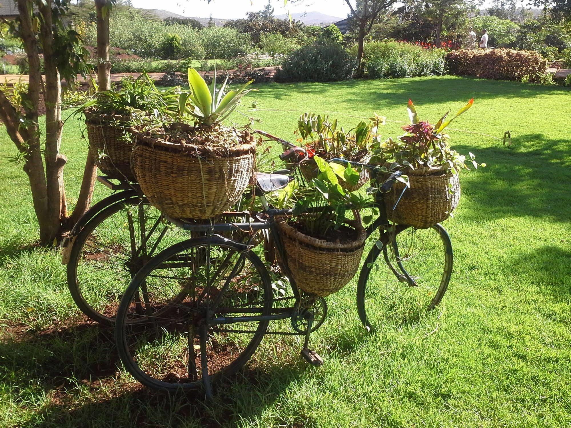 Acacia Farm Lodge Ngorongoro Kültér fotó