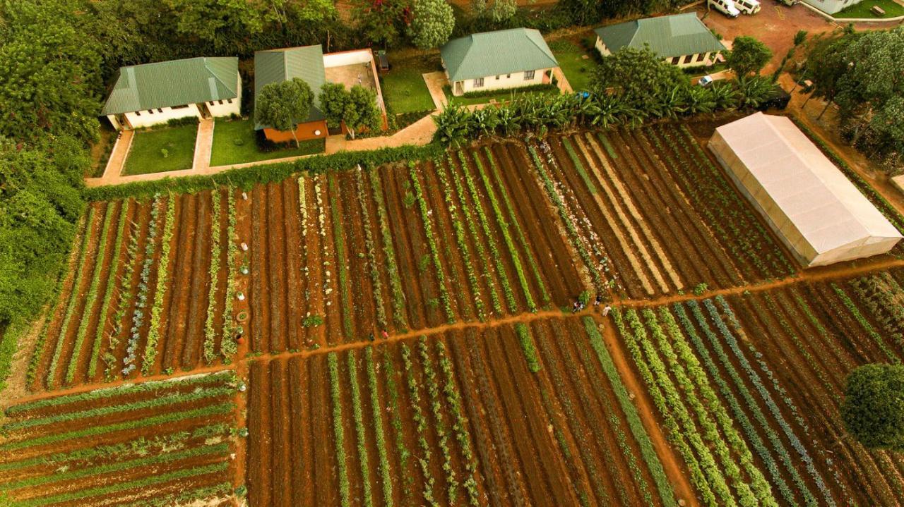Acacia Farm Lodge Ngorongoro Kültér fotó
